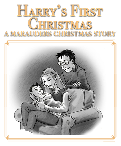 Cover of Harry’s First Christmas